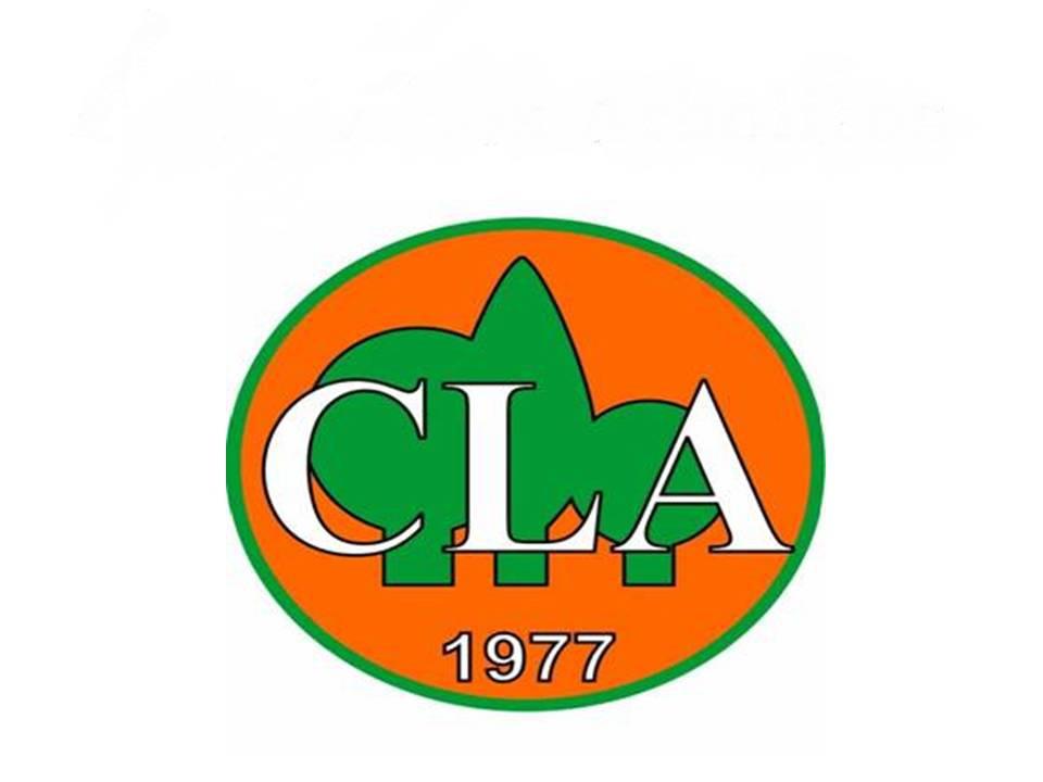 colegio-los-arbolitos